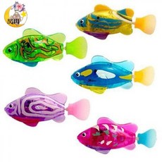 반려동물캣물고기수족관