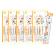 데이스포 케어츄르 독 홍삼 황태 15g x 4P, 5개