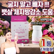 다이어트보조제 TOP01