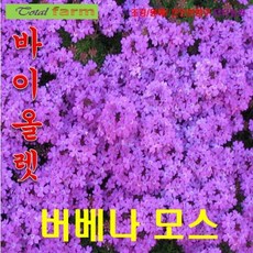 571b97d70198b3827e12baf6a2bb239d82130abe5664adc7118a0f3feae6.jpeg
