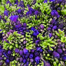 eb29c1e2fb89ad8956bfc40e20680aae3534114813d64d7488804c725a8e.jpg