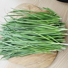 부추 노지재배 산지직송, 1개, 1kg
