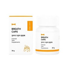 breath정기구독