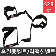 벨트교구