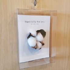 wonderfuldb-3226drybox