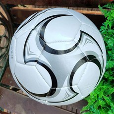 공정무역축구공