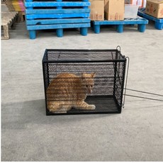 렉사육장 고양이 통덫 고양이포획틀 야생동물 구출 구제 강아지, 구조장