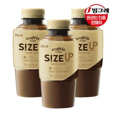 로라메르시에사이즈업25주년