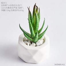 97e77435bd6a435d7ea107e981bd1507afa12a50514e40de163a914312c0.jpg