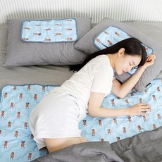 2021년 미스터 피넛 국내생산 정품 아이스 쿨매트 시원한여름 냉감 죽부인 반려견매트