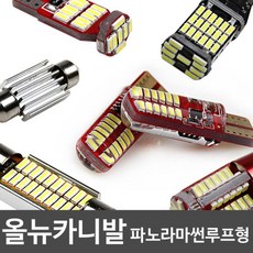 더뉴카니발하이루프tv