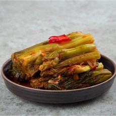 종가집깍두기10kg