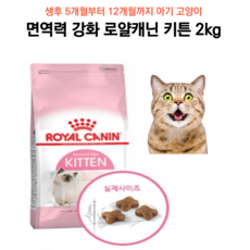 요요없이잘먹는다이어트