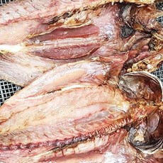 동해항씨푸드