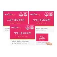 시서스필다이어트