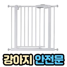 안전문롤