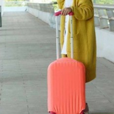 기내가방보호덮개