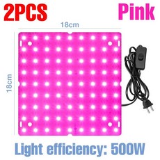 햇빛아래식물등