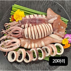 자연산 손질 통오징어 20마리/260g(2마리)X10팩, 10개