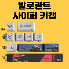 발로란트키캡 TOP01