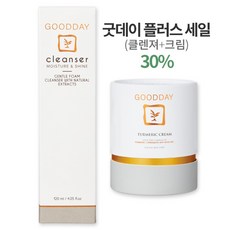 데이비선미스트플러스