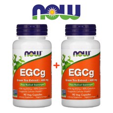 카멜리아시넨시스