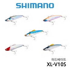 21엑센스