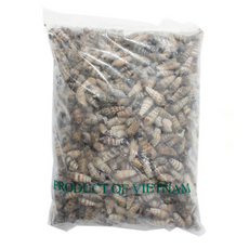 갯고동 1kg, 1개, 상세페이지 참조