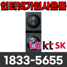 LG 오브제워시타워 세탁기 WL22GGZU 25KG