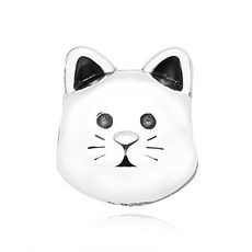 판도라고양이