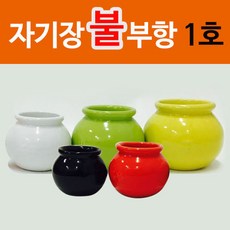 자기부항 1호(불부항)