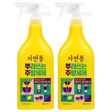 LG생활건강 자연퐁 뿌려쓰는 간편 주방세제 레몬향, 2개, 500ml