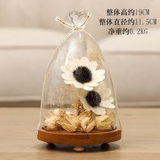 유리돔 유리병 꽃병 드라이플라워 말린꽃 보관 선물, AB