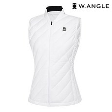 와이드앵글스윙다운