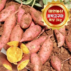 태안농산 황토에서 자란 호박고구마 특상(100g-290g) 3Kg, 1개