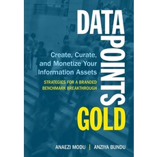 Data Points Gold: Create Curate and Monetize Your Information Assets Paperback, Rebrand Publishing