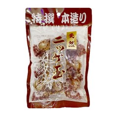 일본정벌