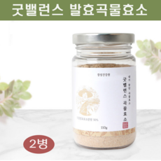 발효 곡물 효소 소화가잘되는 곡물발효효소 분말 가루 혼합곡물 소화효소제 식물성단백질 밀싹 식이섬유 프락토올리고당 배연정 효소파우더 추천 대용량, 110g, 2병