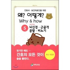 근골격재활초음파를이용한운동치료