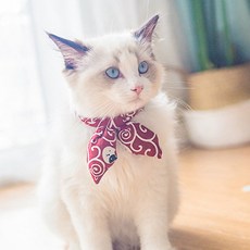019f14a0e8fa6bbf98282f14a7ce42bef278f6b6b6b61b1ddfa322c391f2.jpg