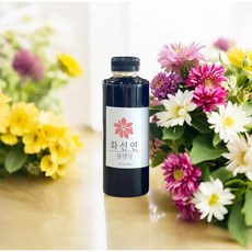 화선연 더치커피 원액 블랜딩, 1개, 1개입, 500ml