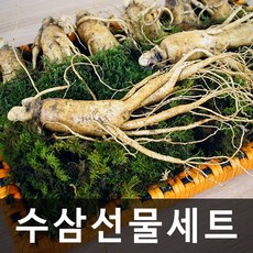 청명네이처 금산인삼 수삼선물세트(대)(750g)(7~9뿌리), 1개, 750g