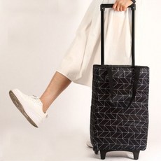 캐리어길이조절손잡이