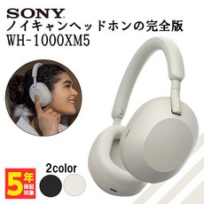 소니wh1000xm5