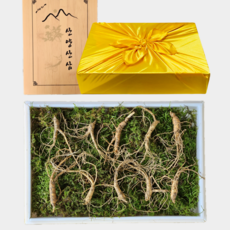 [마중물농원] 100% 지리산 산양삼 5-6년근 산지직송 선물용 장뇌삼 산양산삼, 10개, 100g