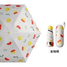 감귤우산