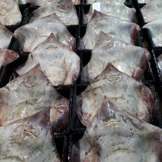 목포 국내 홍어 삼합 홍어찜 애 한마리 5kg 손질안됨, 1개
