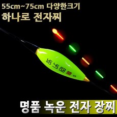 [연낚시]하나로 녹운 양어장 전자찌 55cm~75cm, 녹운 장찌 5호, 1개