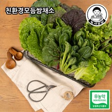 쌈밥채소