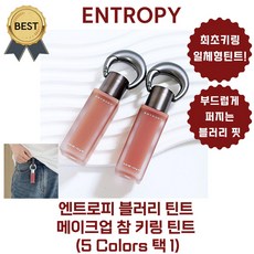 엔트로피 블러리 틴트 메이크업 참 키링 틴트 (5 Colors 택 1) [본사정품!] 부드럽게 퍼지는 블러리 핏!
